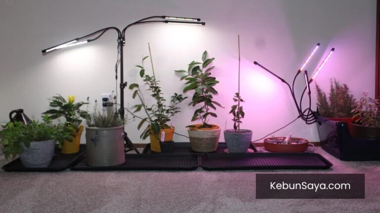 Indoor Garden Lamp