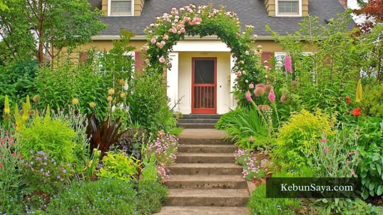rose garden ideas for front yard
